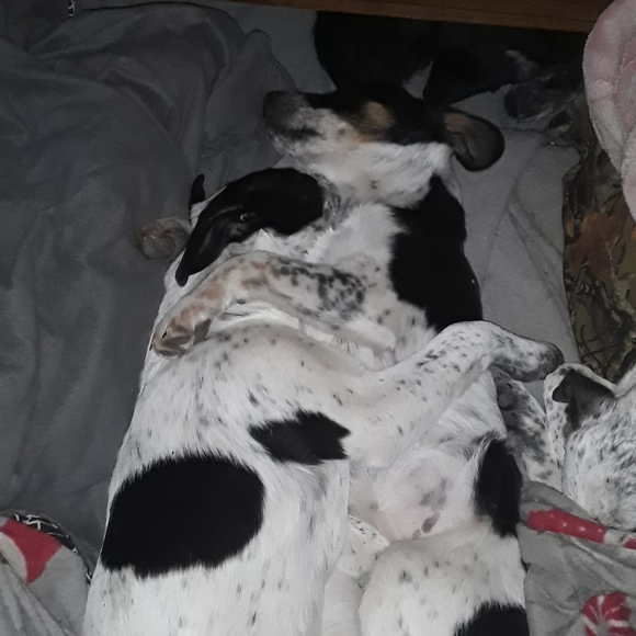 Meet your Posher, Hollaaaaa Hollaaaaa🤙🤙 I'm Tampa - Picture 16 of 16